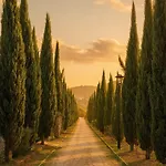 Lord Byron 3* Τεπελένι