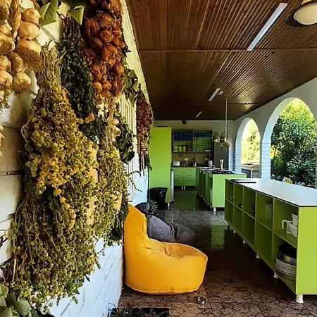 Lord Byron Konukevi 4*