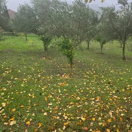 Lord Byron 4* Tepelene