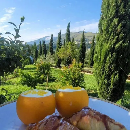 Lord Byron 게스트하우스 4*