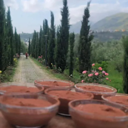 Lord Byron 4* Tepelenë