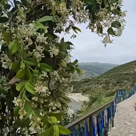 بيت ضيافة Lord Byron Tepelene