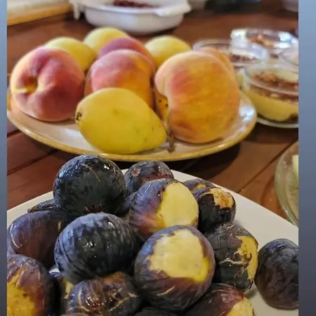 Lord Byron 게스트하우스 4*