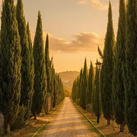 Lord Byron 4* Tepelenë