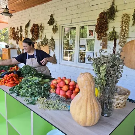 Lord Byron 게스트하우스